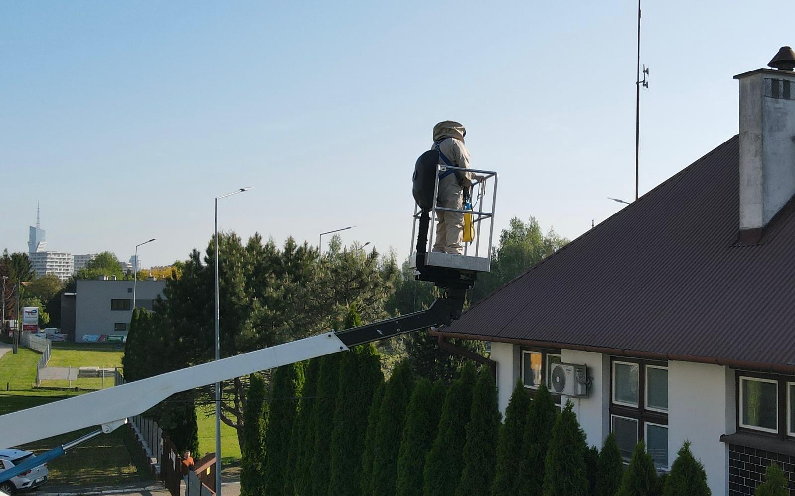 Zwalczanie os i szerszeni
